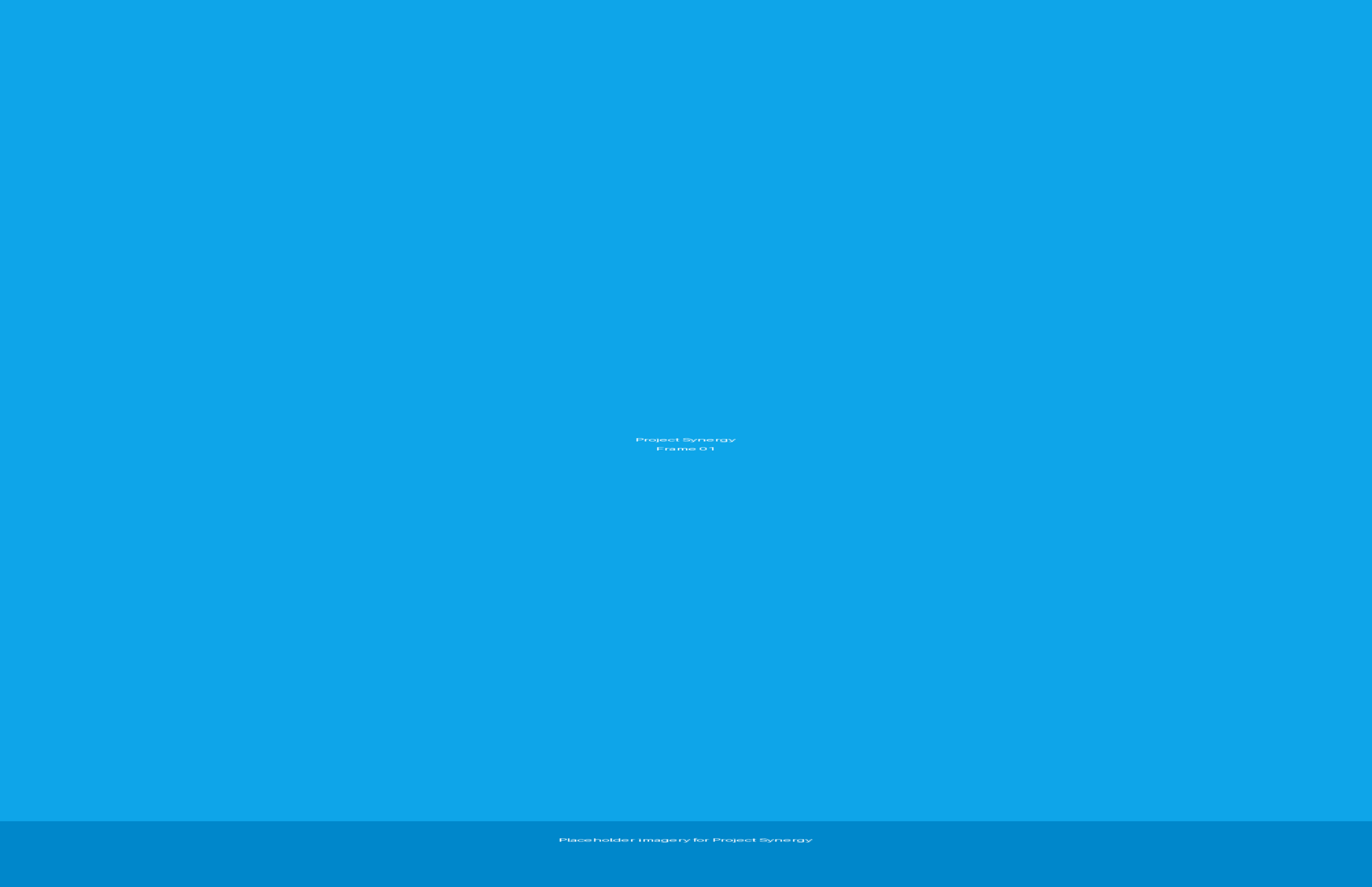 Project Synergy preview 1